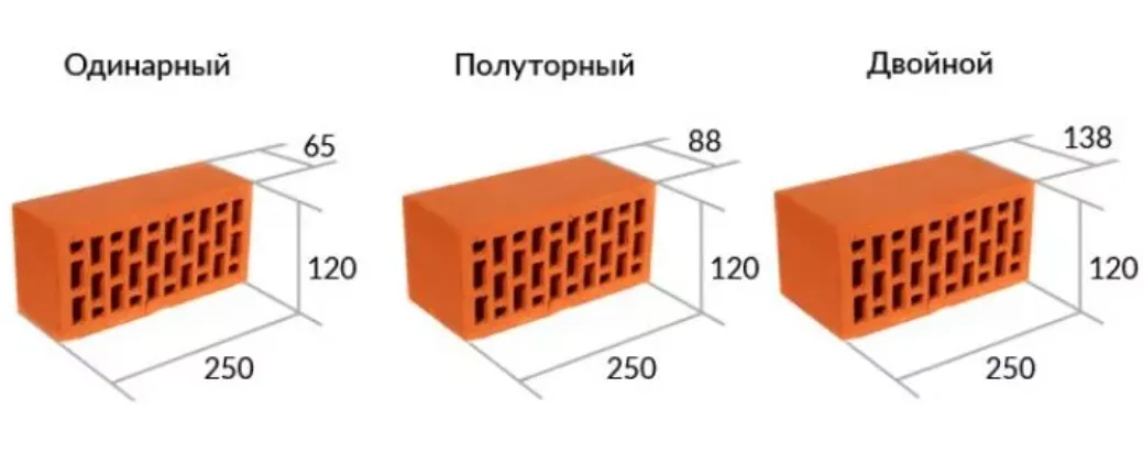 «тычок» — тыльная область, самая узкая.